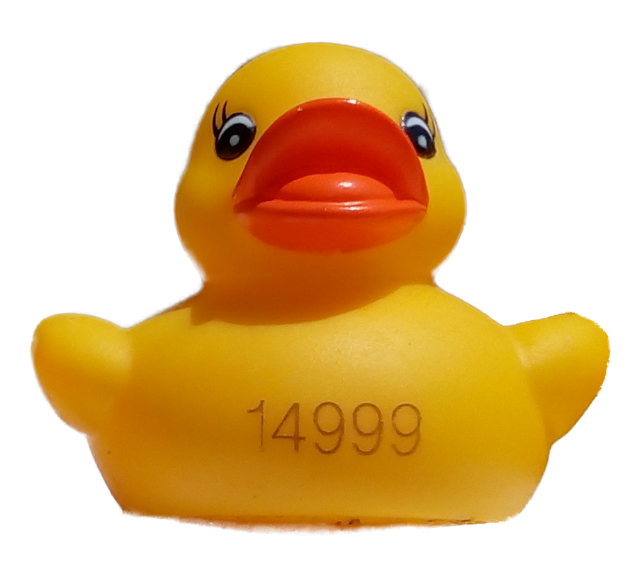 Canard 14999 détouré