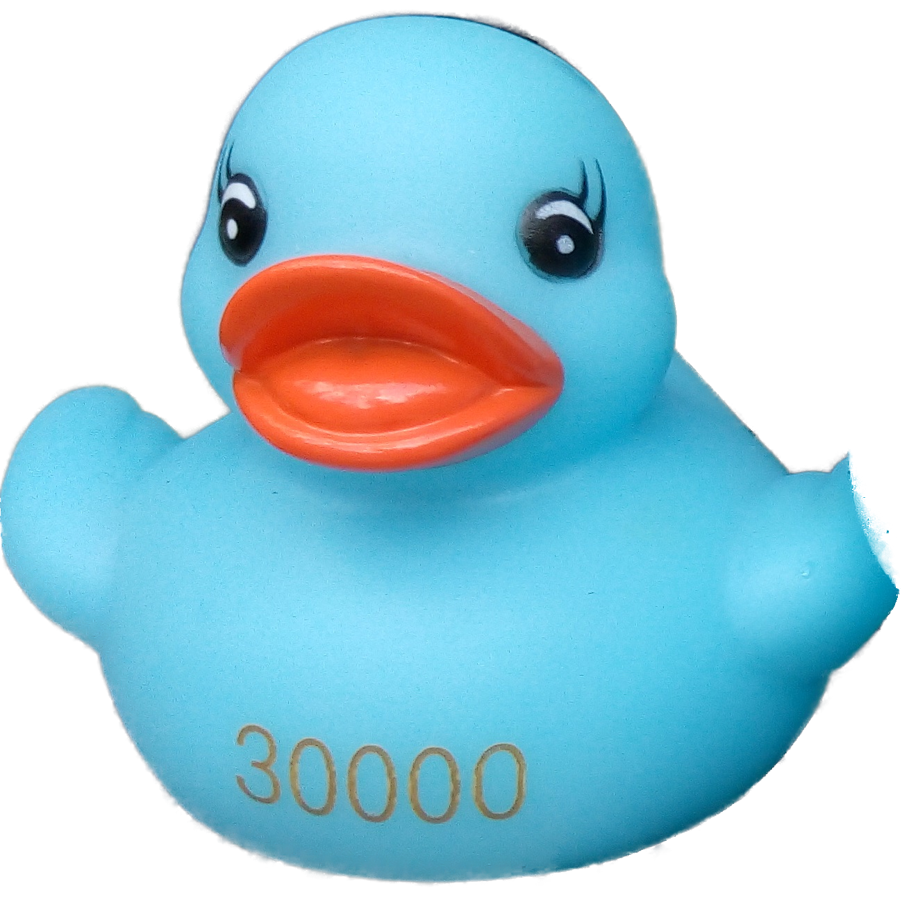 Canard 30000 détouré