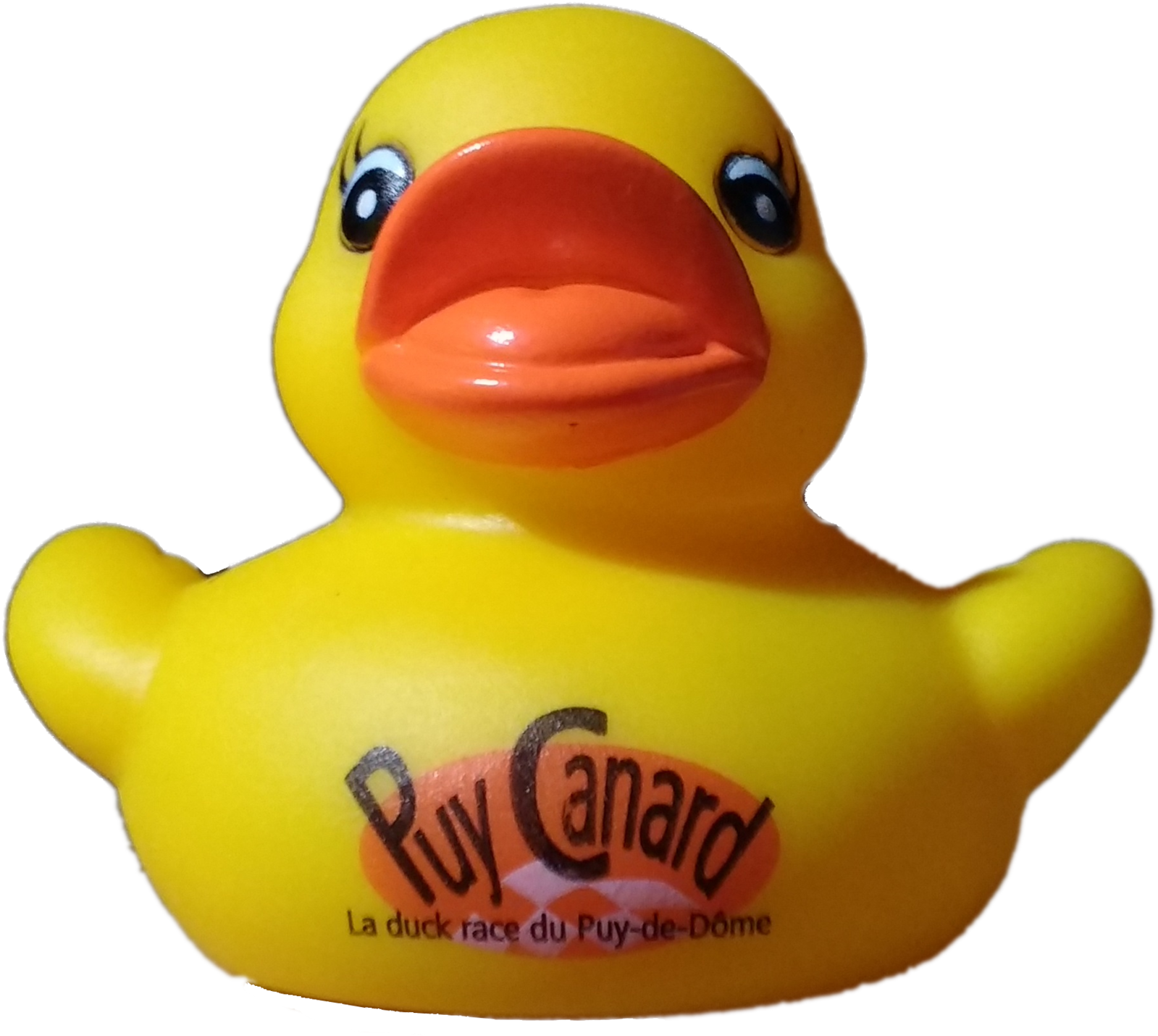 Canard jaune